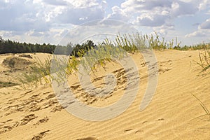 Sand dunes in the blue sky clouds, footmarks  in the sand