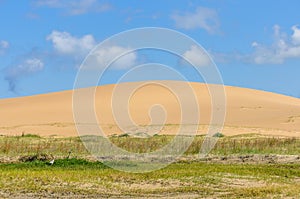 Sand dunes in Cabo Polonio, Uruguay photo