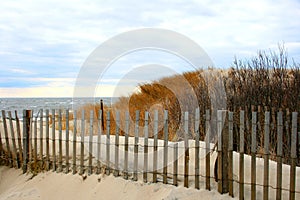 Sand Dunes in Cape May