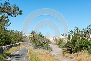 Sand dunes in Carcans, near Lacanau in France