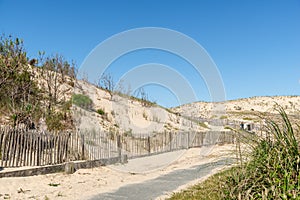 Sand dunes in Carcans, near Lacanau in France