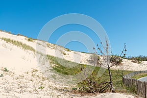 Sand dunes in Carcans, near Lacanau in France