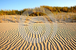 Sand dunes on the coast of the Baltic Sea, Kolobrzeg, Poland