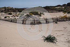 Sand dunes on the coast, Sardinia, Italy