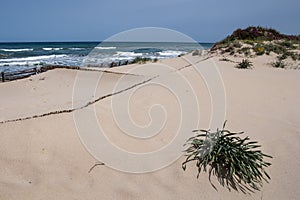 Sand dunes on the coast, Sardinia, Italy