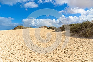 The Sand Dunes of Corralejo on Ferteventura