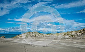 Sand dunes covered by green grass and ocean, Nelson Area, New Zealand