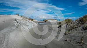 Sand dunes covered by green grass and ocean, Nelson Area, New Zealand