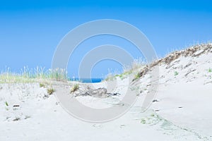 Sand dunes of the Curonian spit also known as