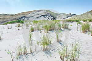 Sand dunes of the Curonian spit also known as