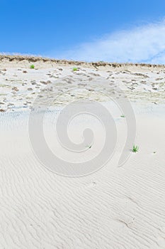 Sand dunes of the Curonian spit also known as