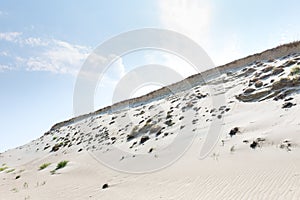 Sand dunes of the Curonian spit also known as