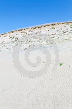 Sand dunes of the Curonian spit also known as