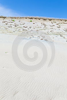 Sand dunes of the Curonian spit also known as