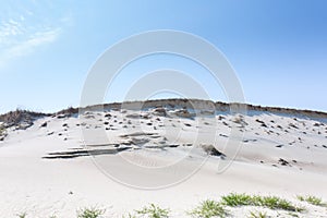 Sand dunes of the Curonian spit also known as