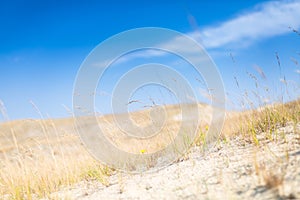 Sand dunes of the Curonian spit also known as