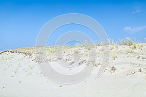 Sand dunes of the Curonian spit also known as