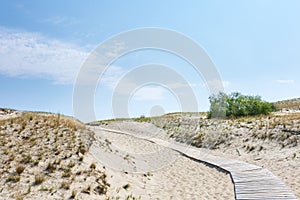 Sand dunes of the Curonian spit also known as