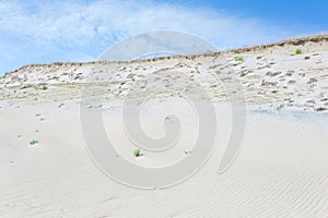 Sand dunes of the Curonian spit also known as