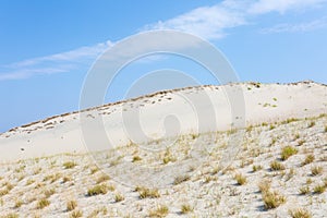 Sand dunes of the Curonian spit also known as