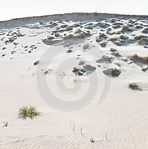 Sand dunes of the Curonian spit also known as