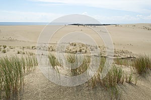 Sand dunes of the Curonian Spit on the Baltic Sea.