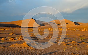 Sand dunes, Death Valley National Park, California.