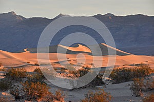 Sand dunes in Death Valley National Park, California, USA photo