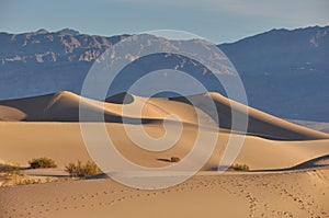 Sand dunes in Death Valley National Park, California, USA photo