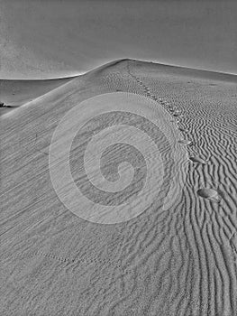 Sand dunes in desert of Algeria