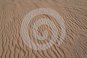 Sand dunes in the desert Arava