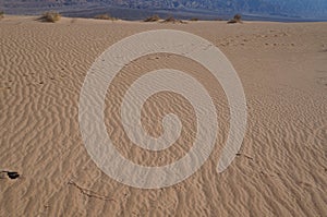 Sand dunes in the desert Arava