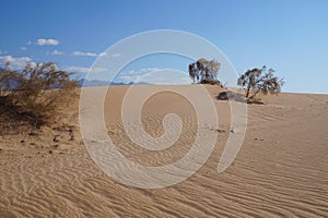 Sand dunes in the desert Arava