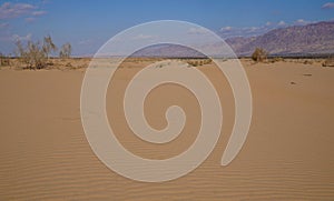 Sand dunes in the desert Arava