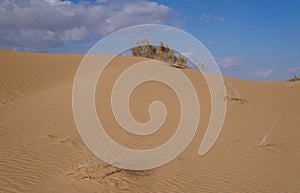 Sand dunes in the desert Arava