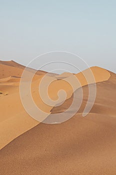 Sand dunes in the desert