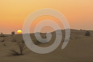 Sand dunes desert near Dubai in UAE