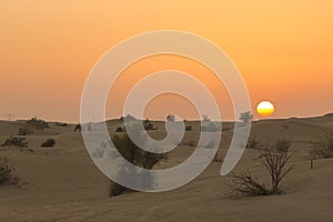 Sand dunes desert near Dubai in UAE