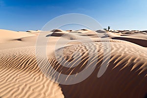 Sand dunes desert of Sahara