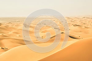 Sand dunes in the desert