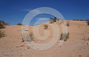 Sand dunes in desert, selective focus