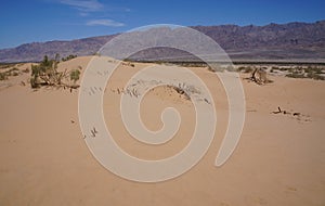 Sand dunes in desert, selective focus