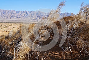 Sand dunes in  desert, selective focus