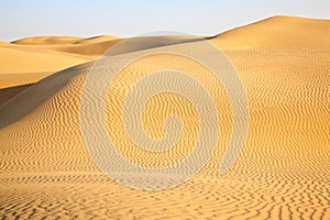 Sand dunes of desert Thar