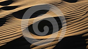 Sand dunes display a pattern of ripples and shadows creating