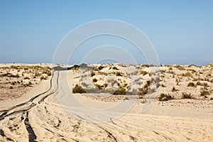 Sand dunes in Donana National Park, Matalascanas,Spain photo