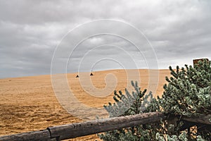 Sand Dunes, dramatic cloudy sky background. Oceano, California photo