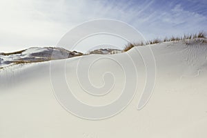 Sand dunes and dry grass on the shore