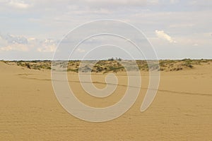 Sand dunes and dry grass, white clouds on a bright blue sky