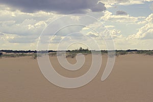 Sand dunes and dry grass, white clouds on a bright blue sky